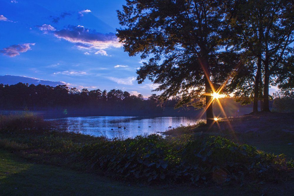 The Starlight Sunset