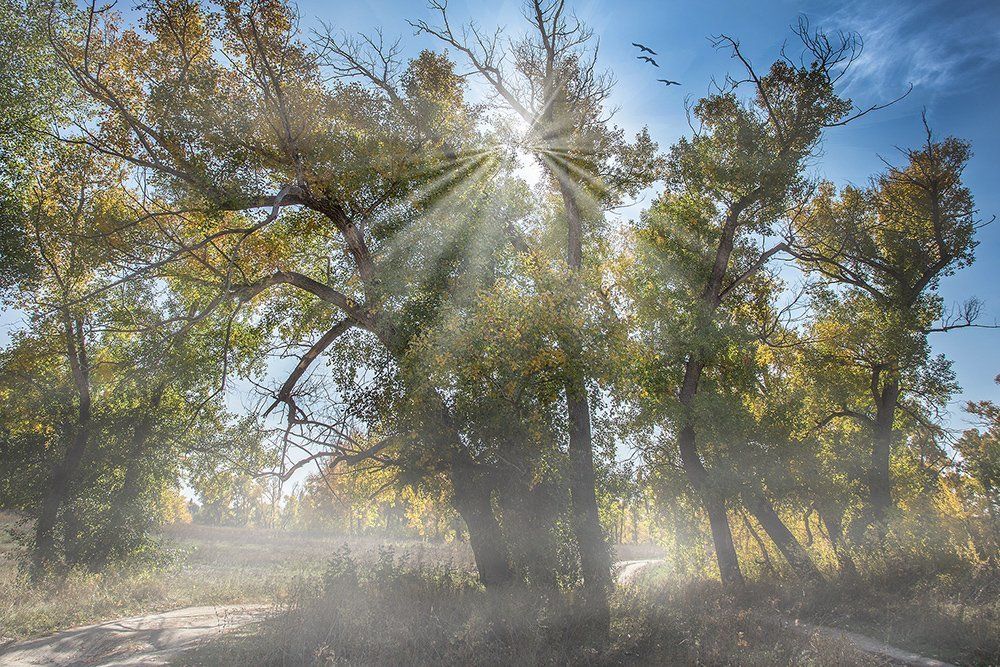 Утро на Урале!