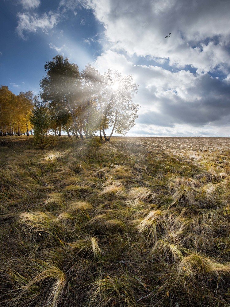 Игра света в Ковыле...