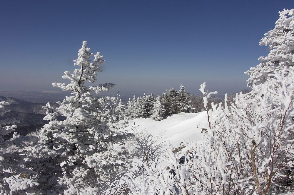 Заснеженная вершина горы Фалаза