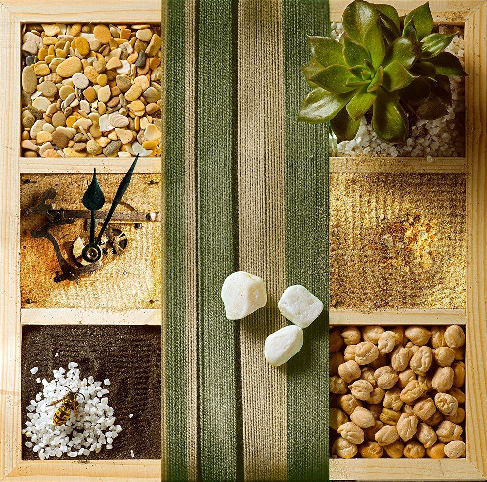 ph. «Суккуле́нт и Оса, за минуту до пробуждения»