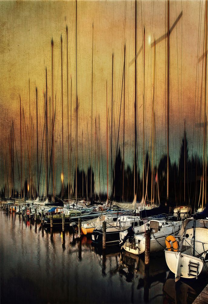 Мачтовый лес.