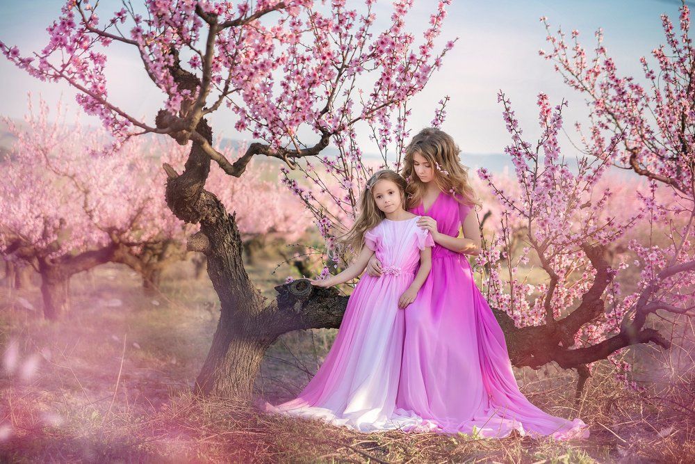 Фотография автора Наталия Комарова