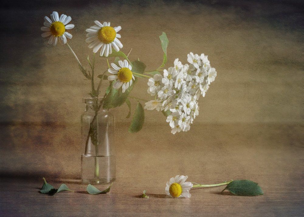 Кто-то остался без места . . .