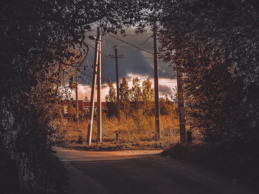 Бесконечное лето