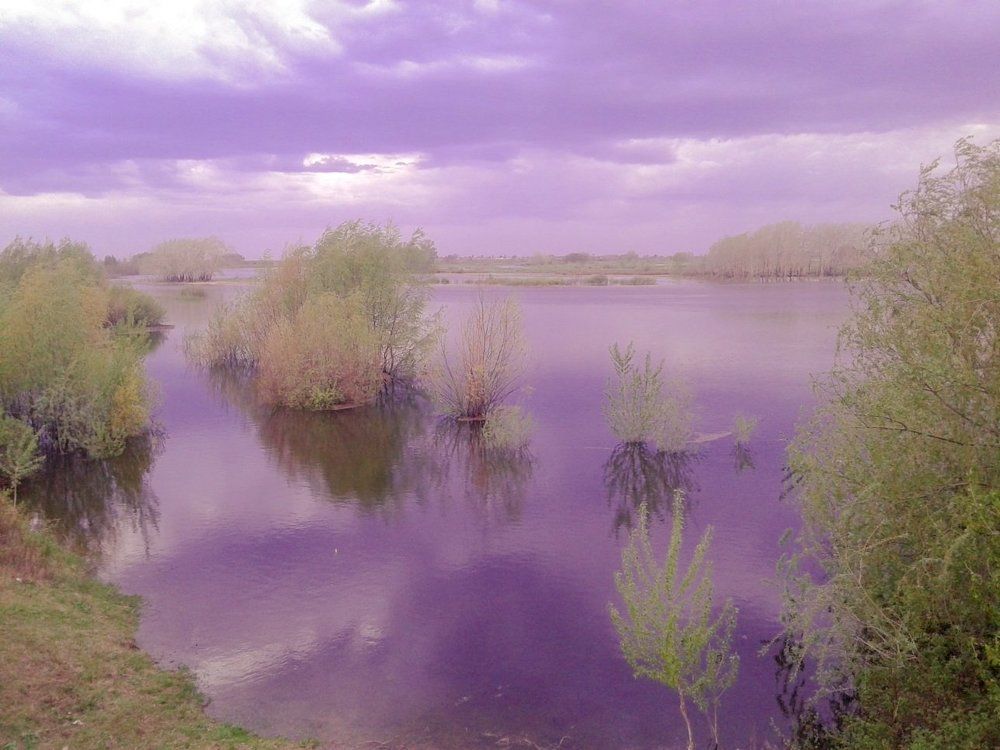 Природа Казахстана