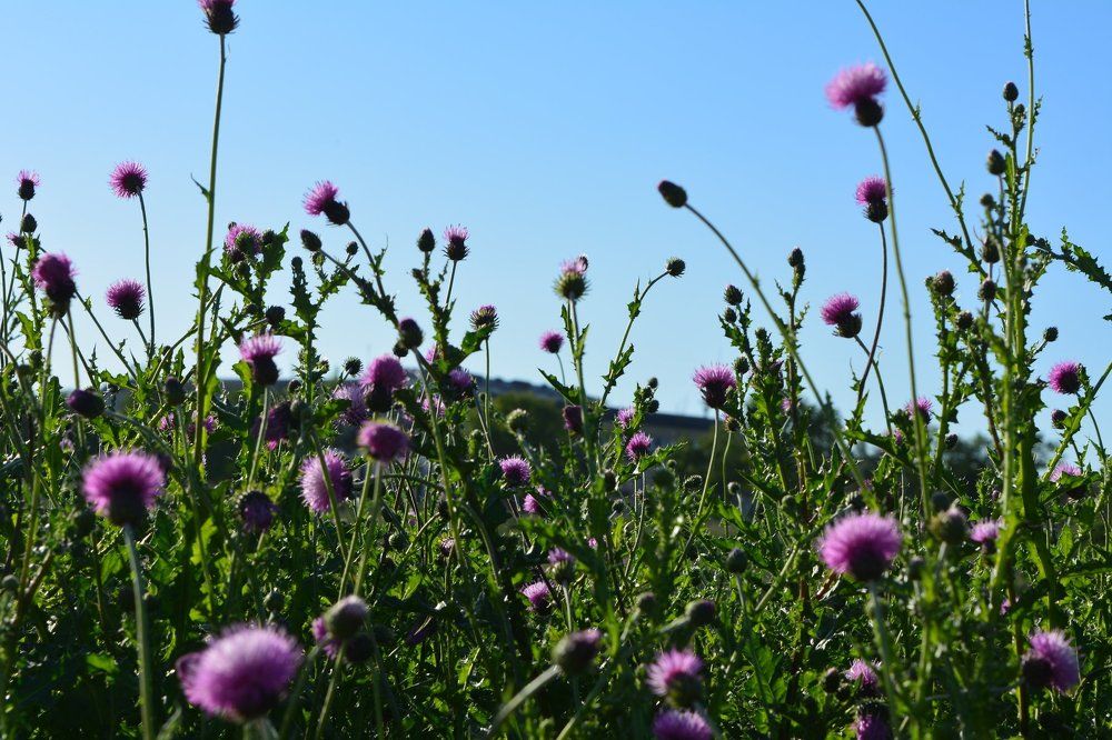 "Под солнцем"