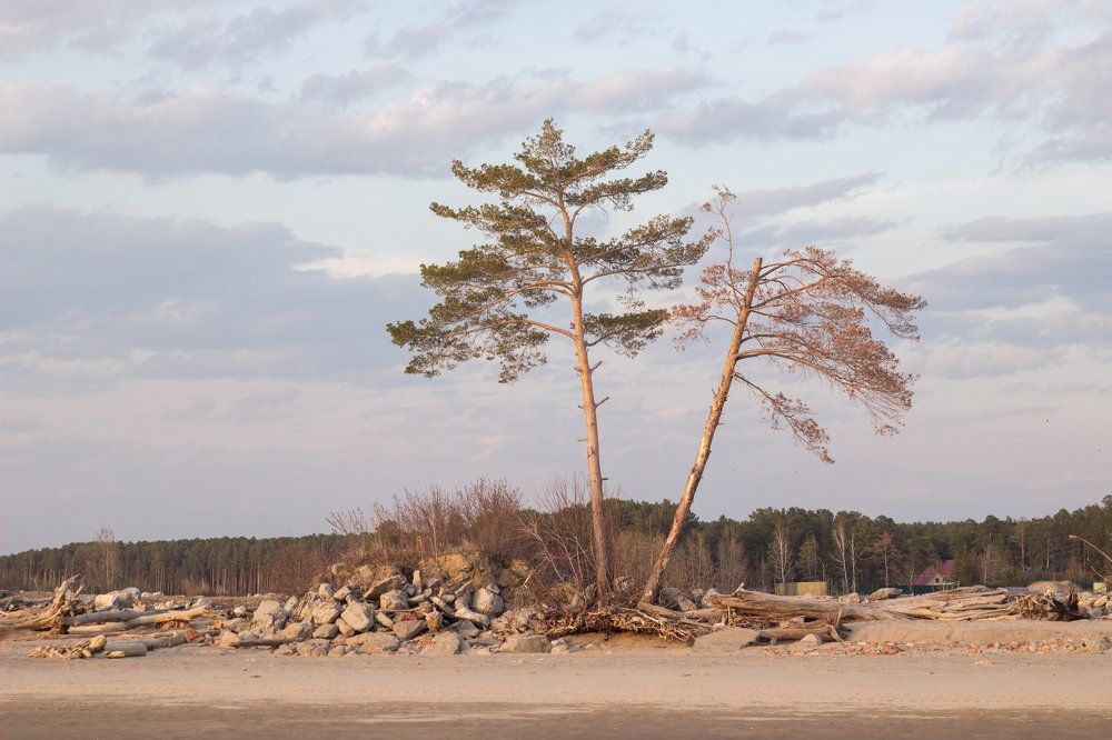 Photograph by Данила Татауров