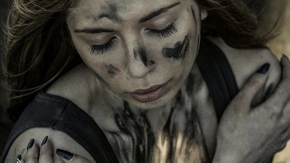 Non multa, sed multum ©