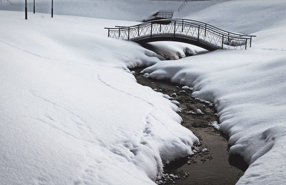 Артерия мудрости