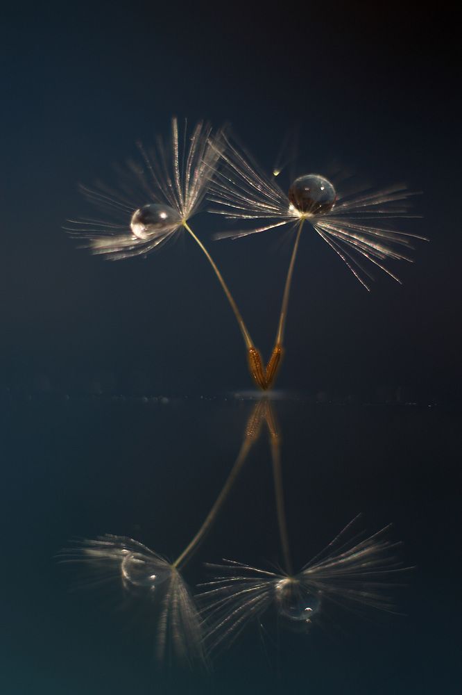 Фигурное катание