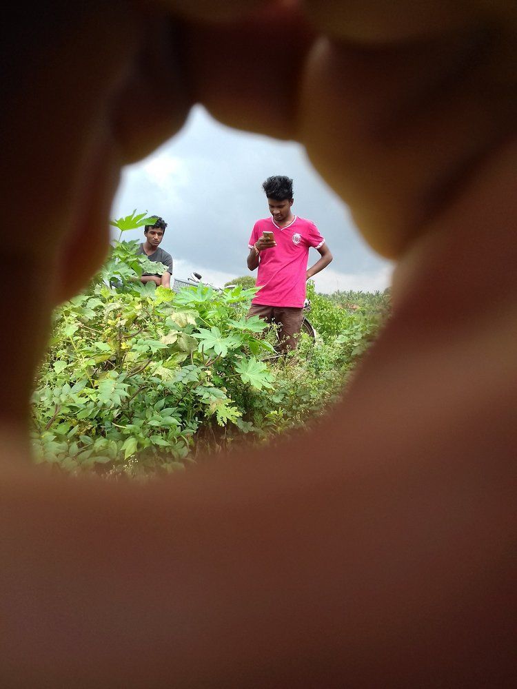 Photograph by Strange SellA