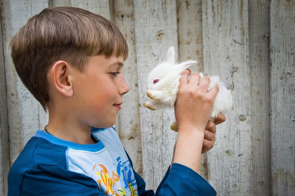 счастливый кролик