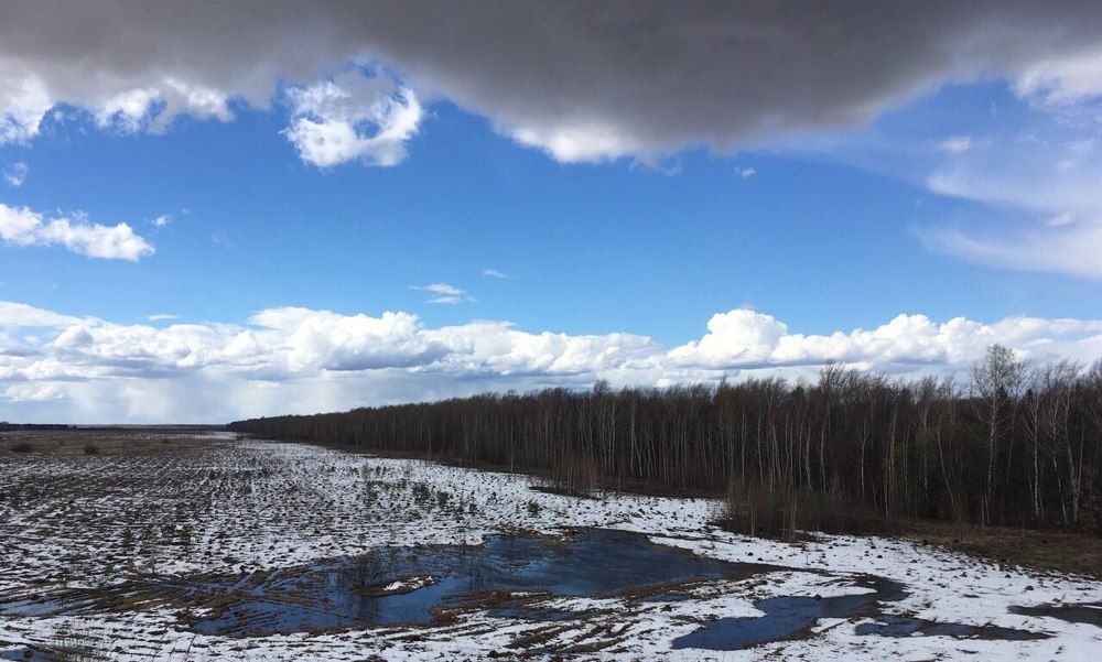 Photograph by Любовь