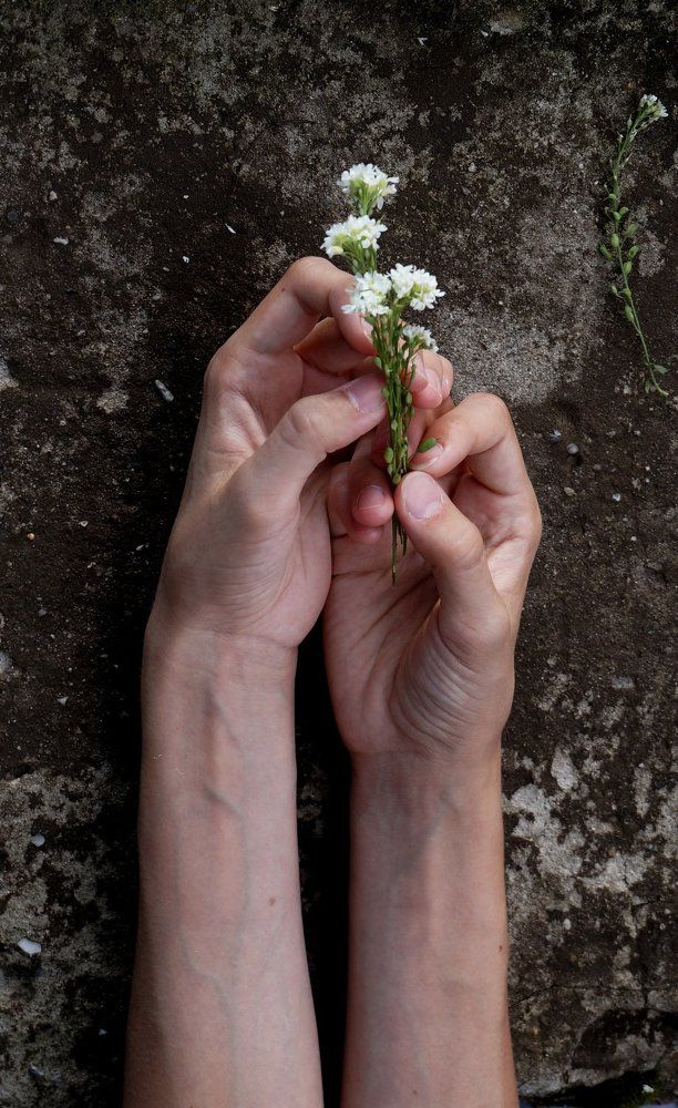 пластика рук