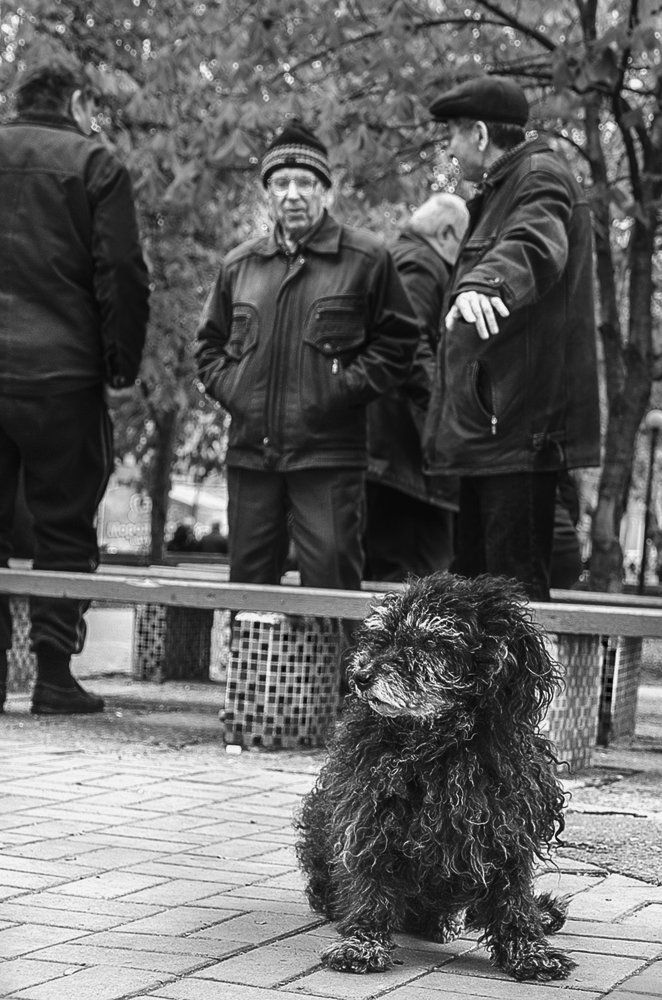 "социально опасен"