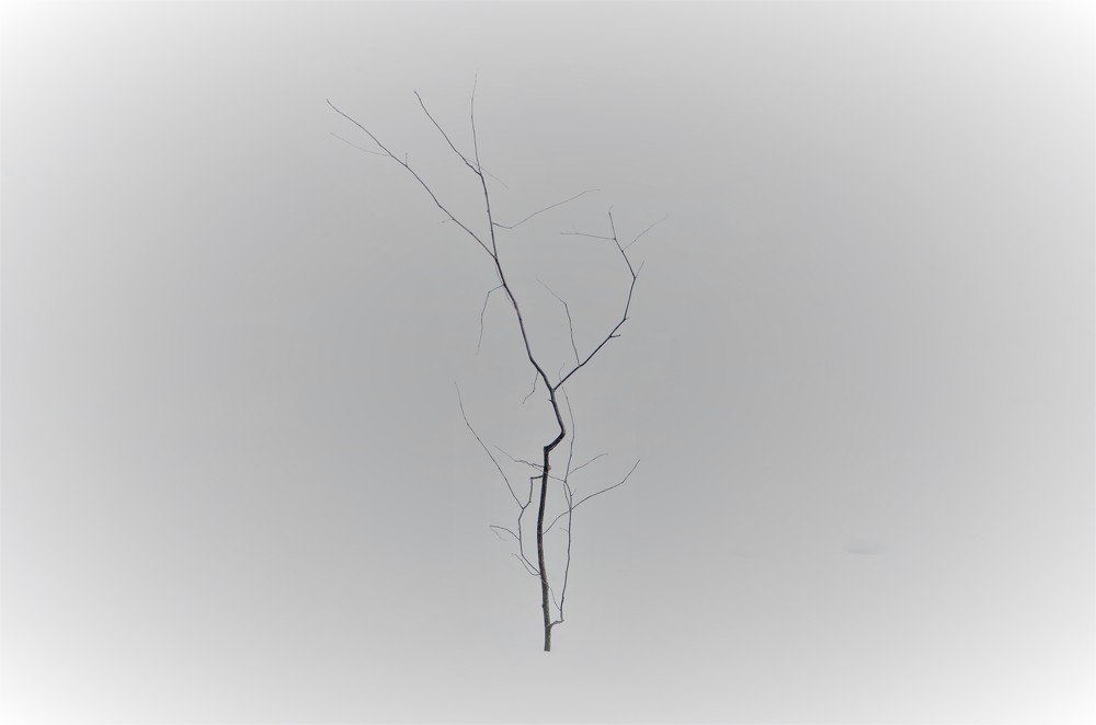 одиночество