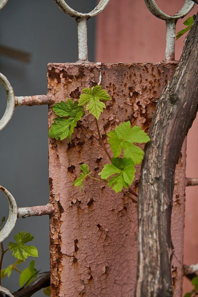 переплетение