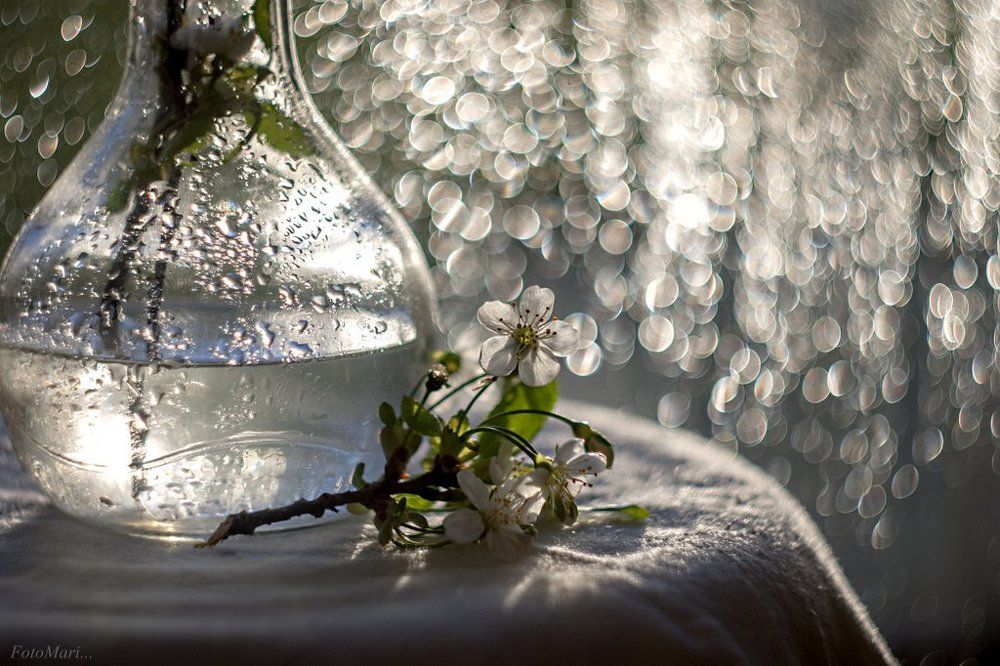 Фантазии на тему весны.