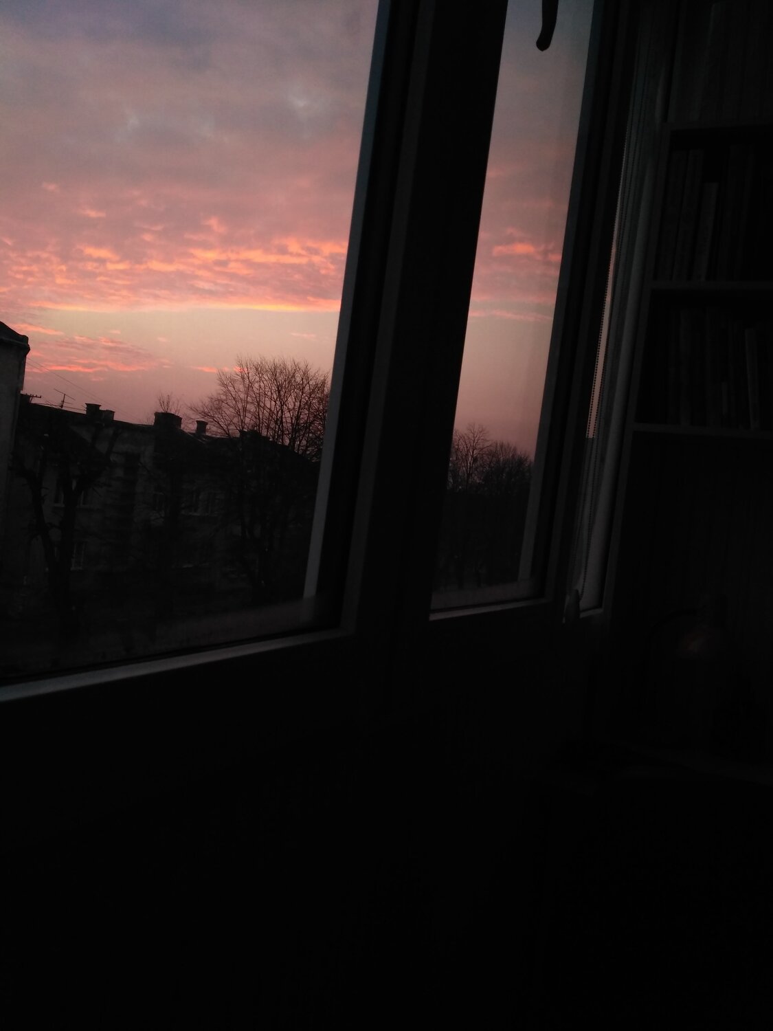 Photo #1754296