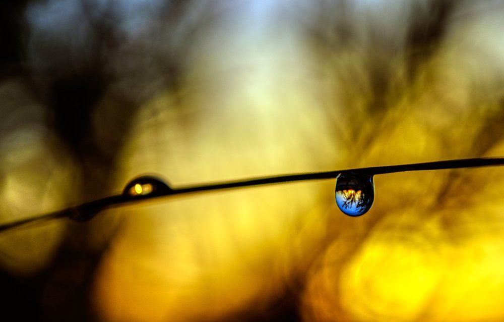 drops