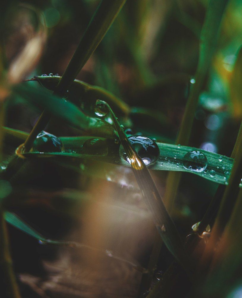 Photograph by Белых Аня