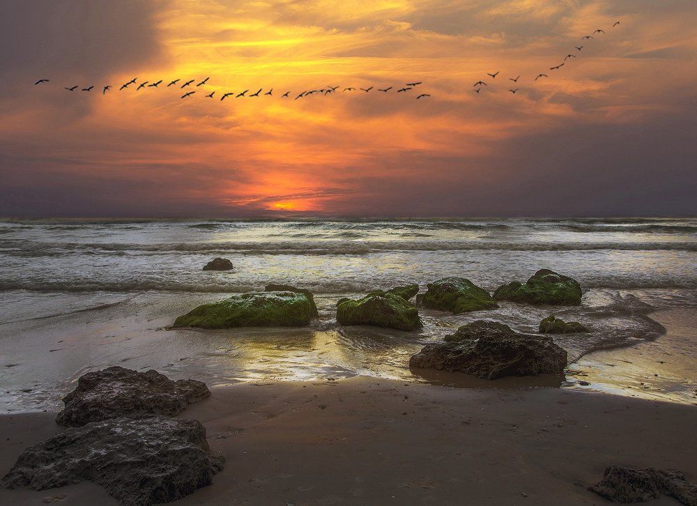 Photograph by Leonid Lan