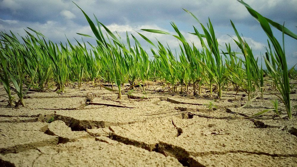 Без названия