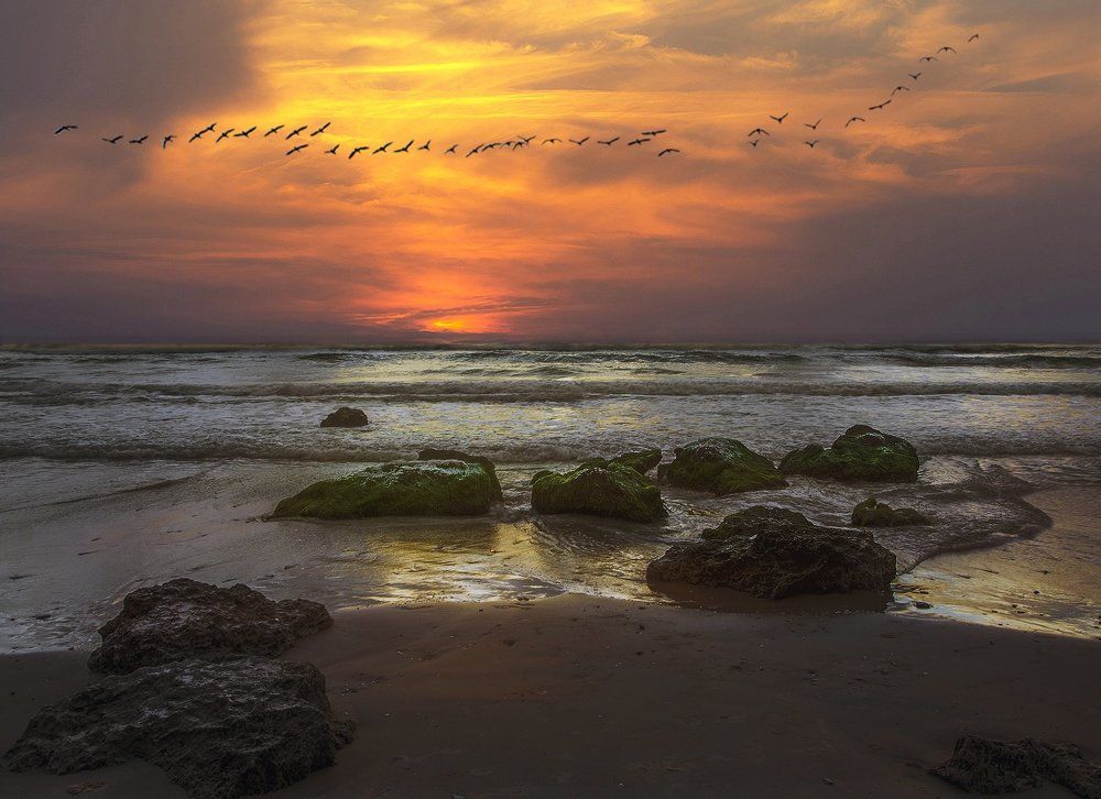 Photograph by Leonid Lan