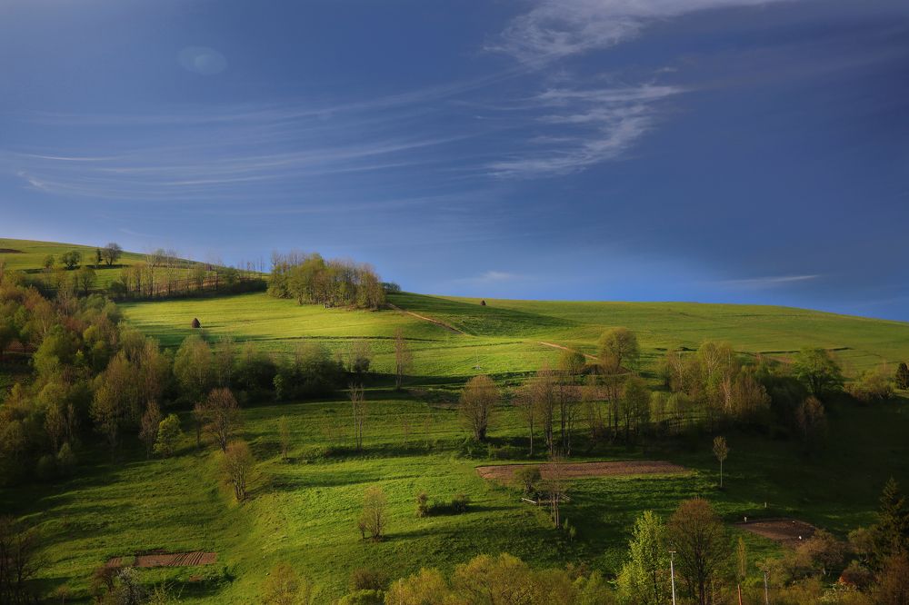 природа шепчет красоту