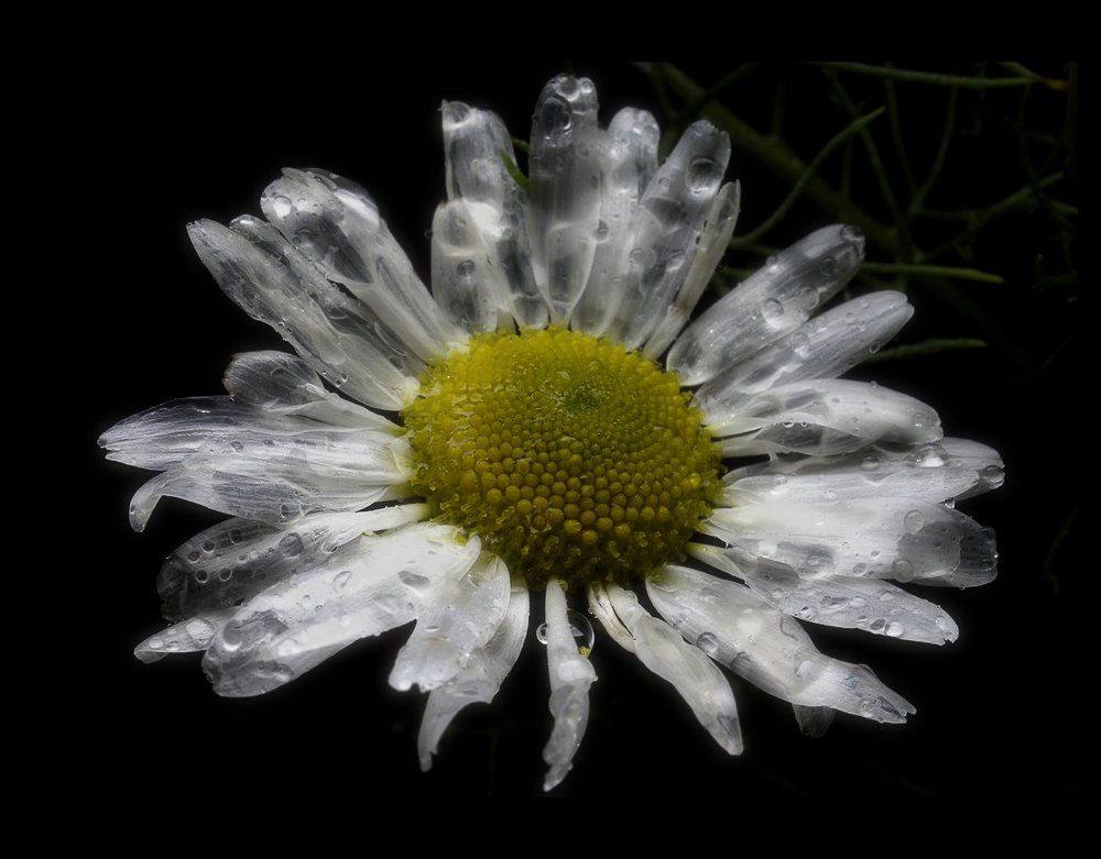 Состояние #28