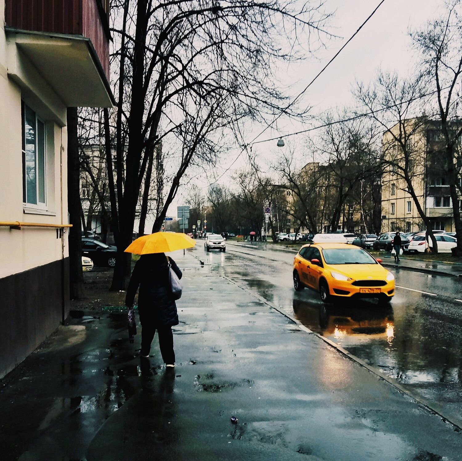 Контраст