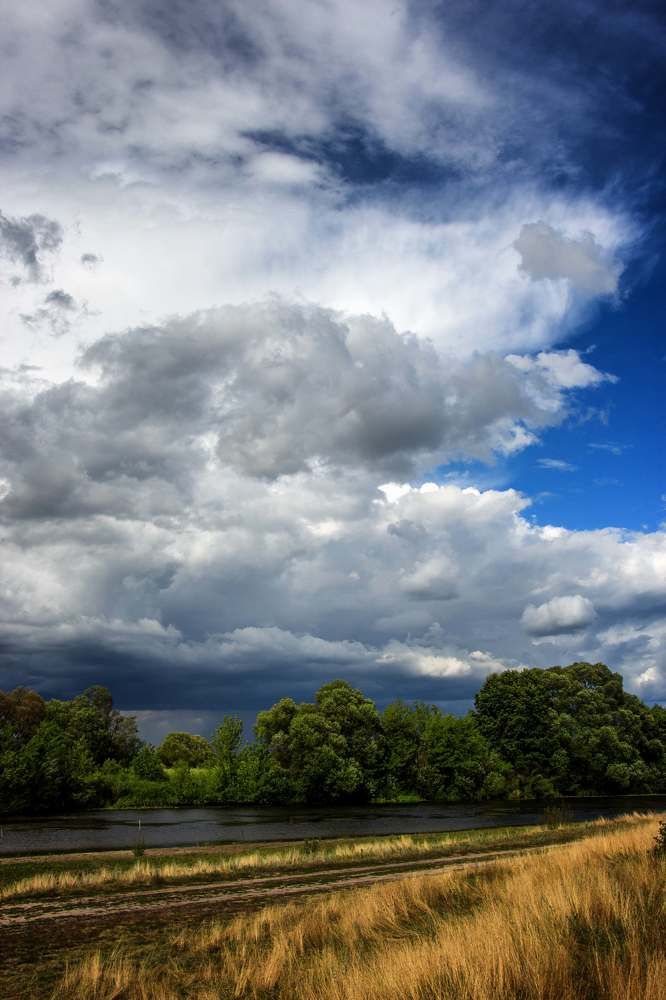 Красота лета