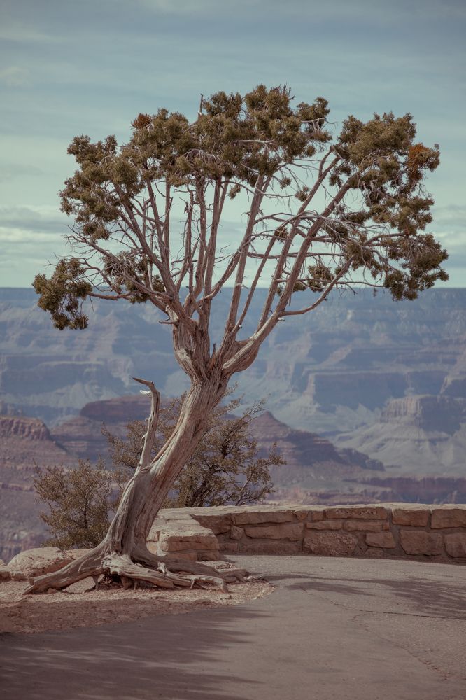 Фотография автора Мутулов Алдар