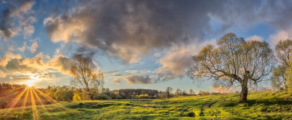 В лучах заката