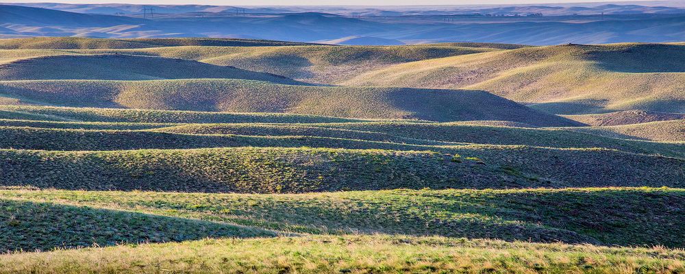 Весенние краски...