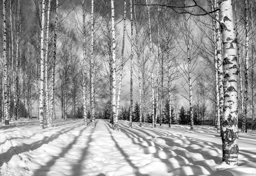 Полосатый февраль