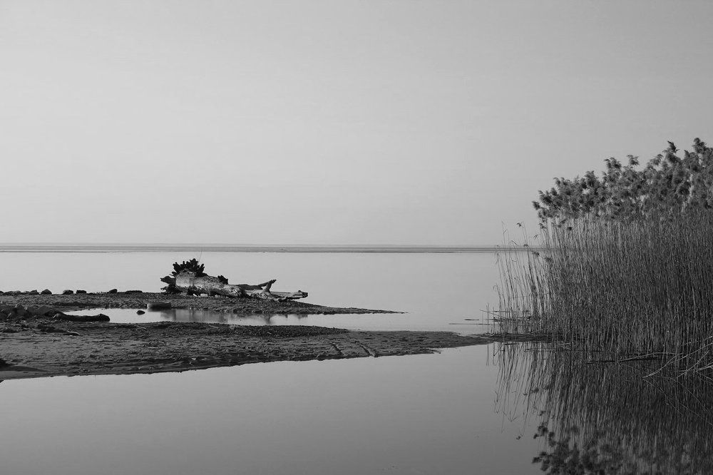 Photograph by Katerina Berezina