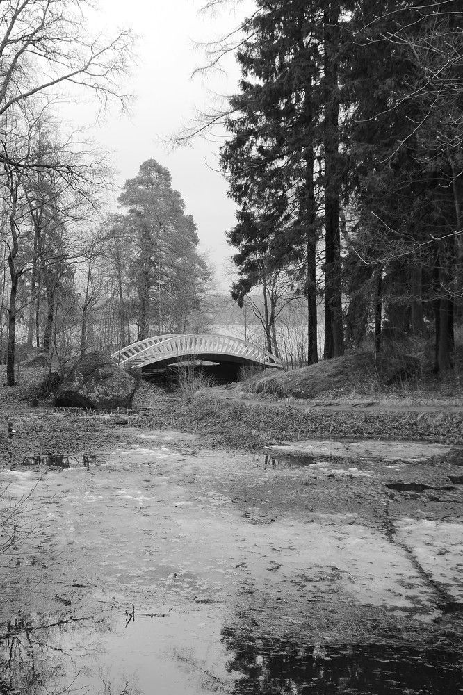 Китайский мостик парк "Монрепо"