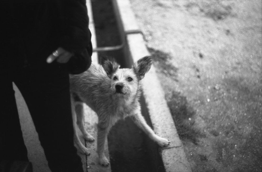 Она не повернется.