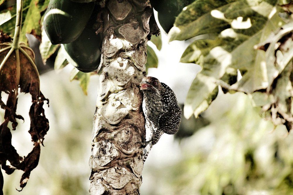 Photograph by Santhosh GVN