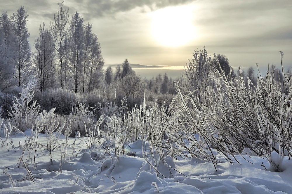 Зимний пейзаж