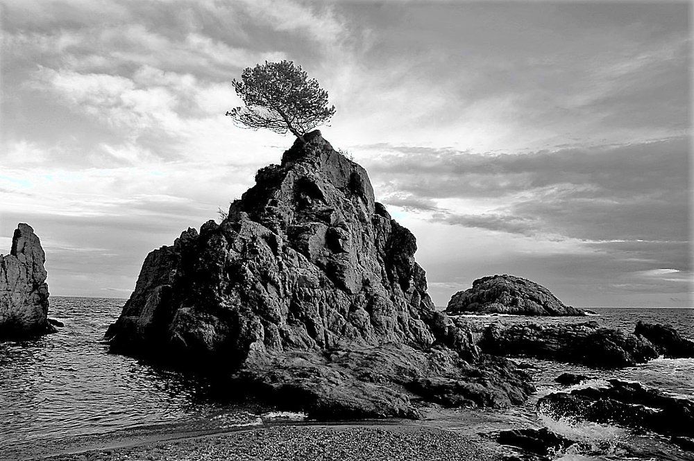 Я как дерево, держащее скалу,  Наблюдаю, как флиртуешь не со мной, -  Со свободными ветрами на балу,