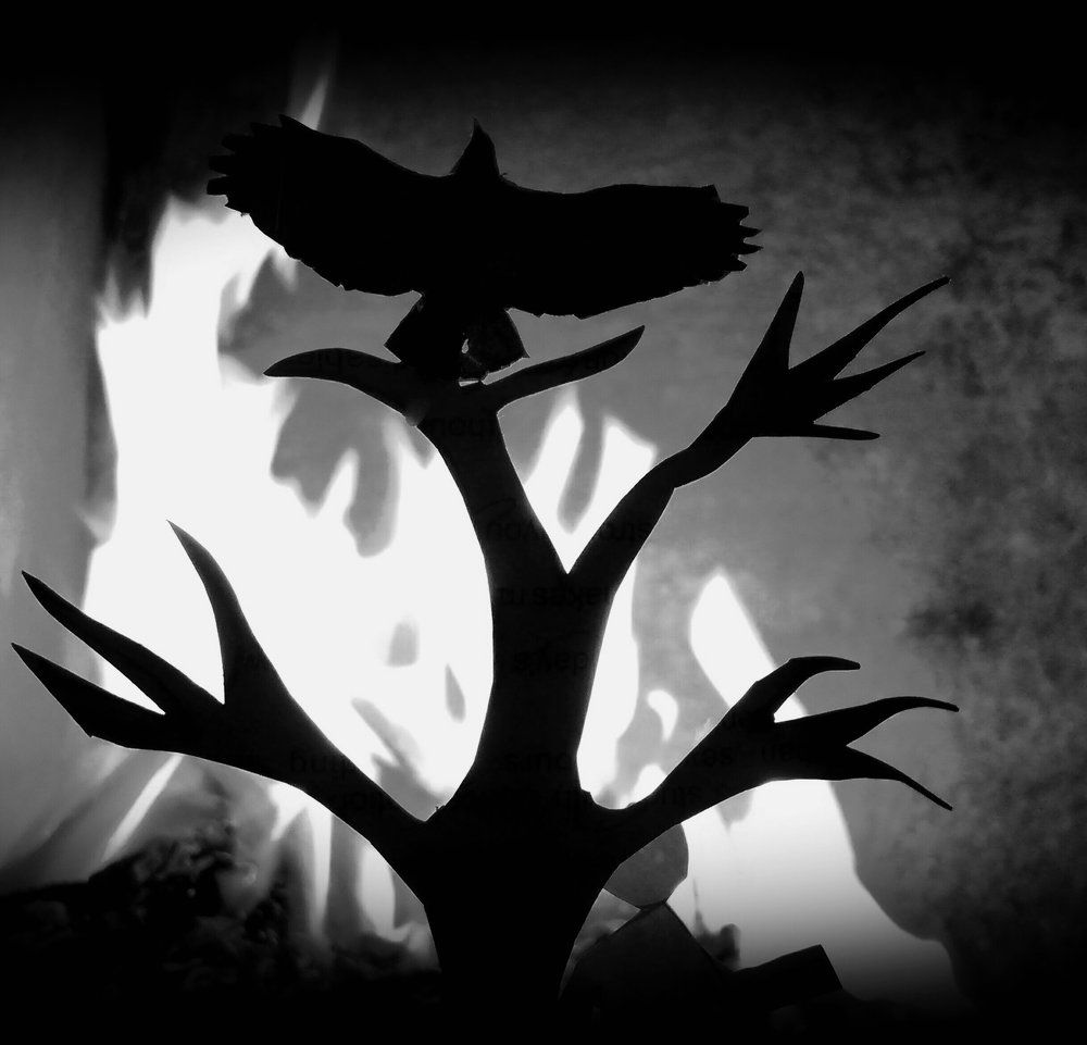 Fly with our life in any situation