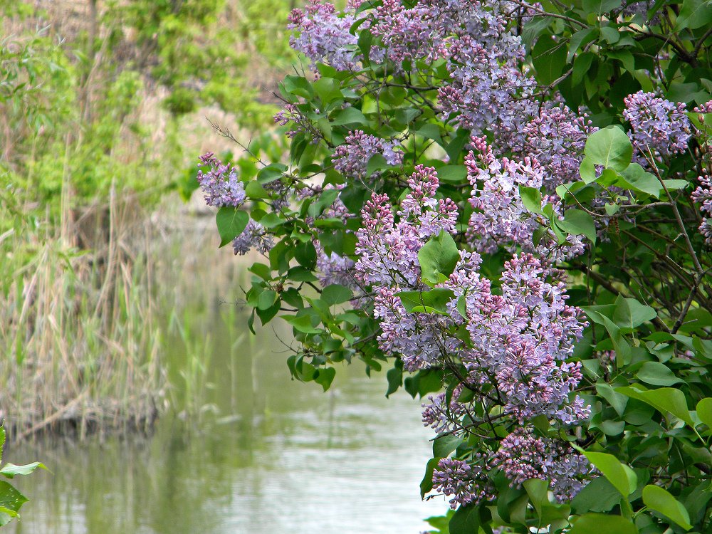 Photograph by Ира Балакова