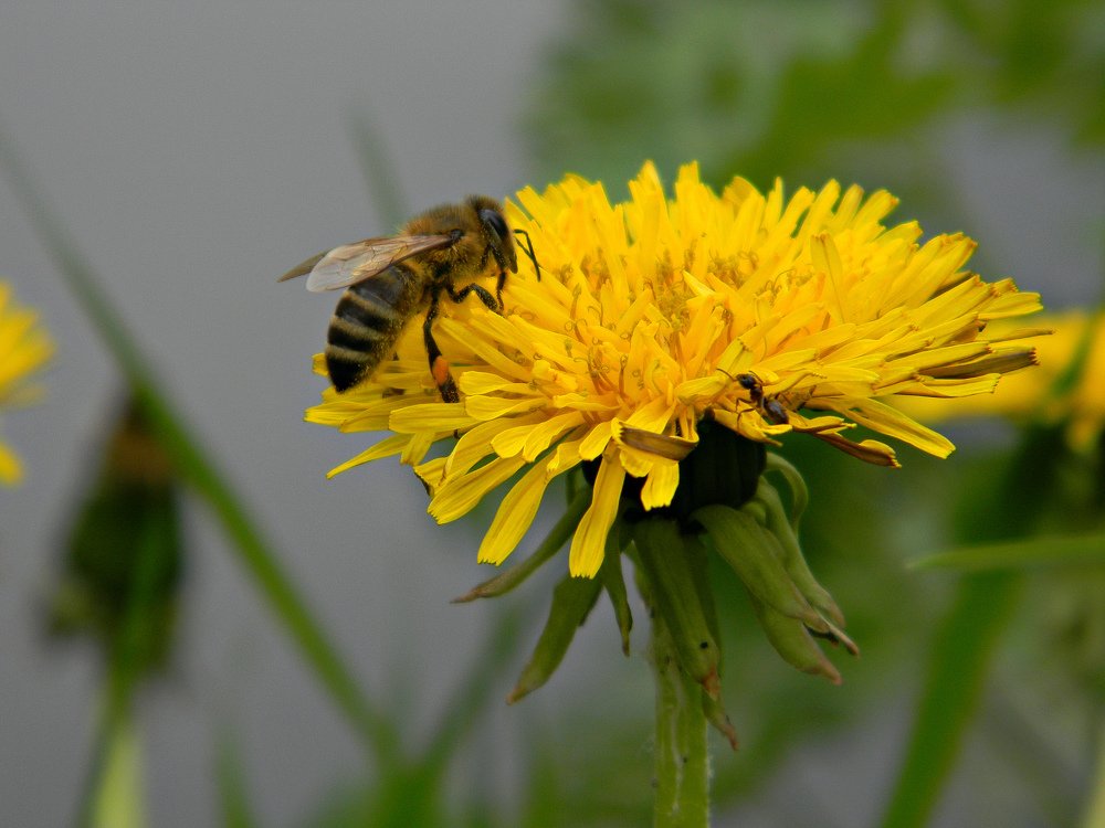Photograph by Ира Балакова