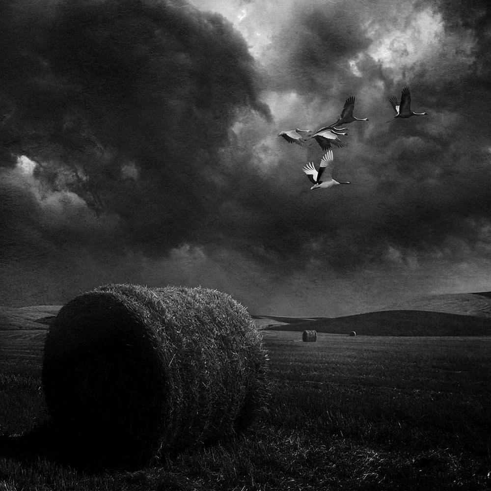 Photograph by Рублёв Дмитрий