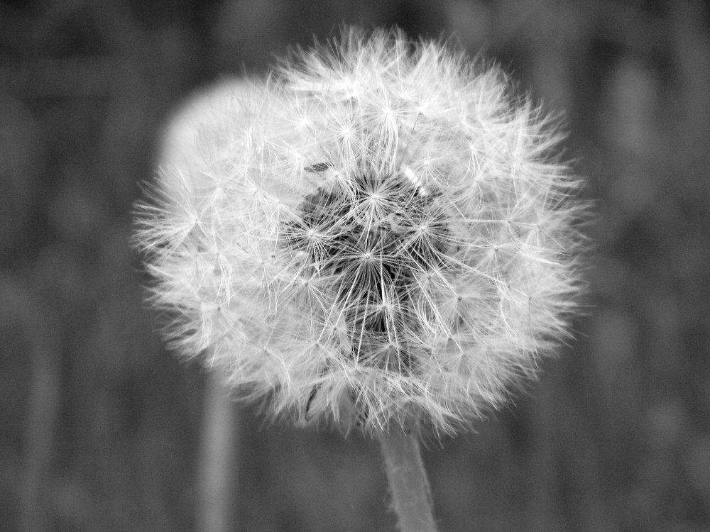 Photograph by Ира Балакова