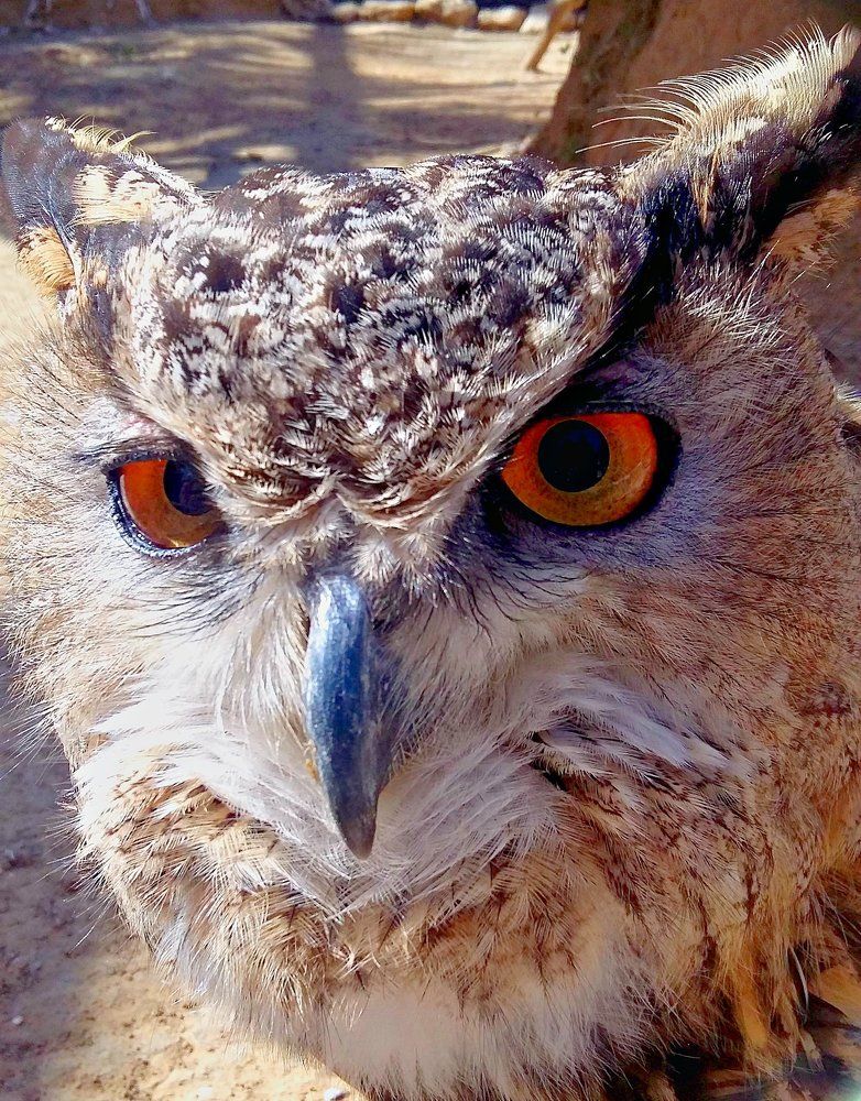 Photograph by Kandubasha