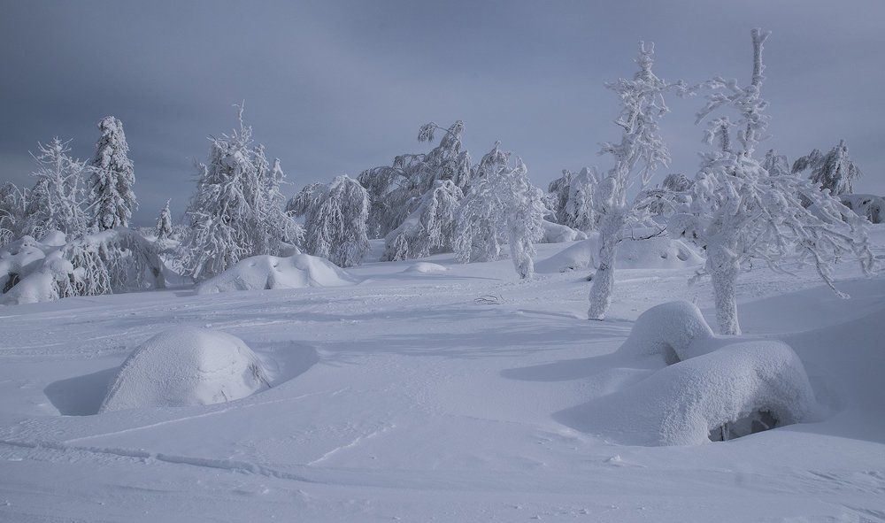 Зимняя сказка